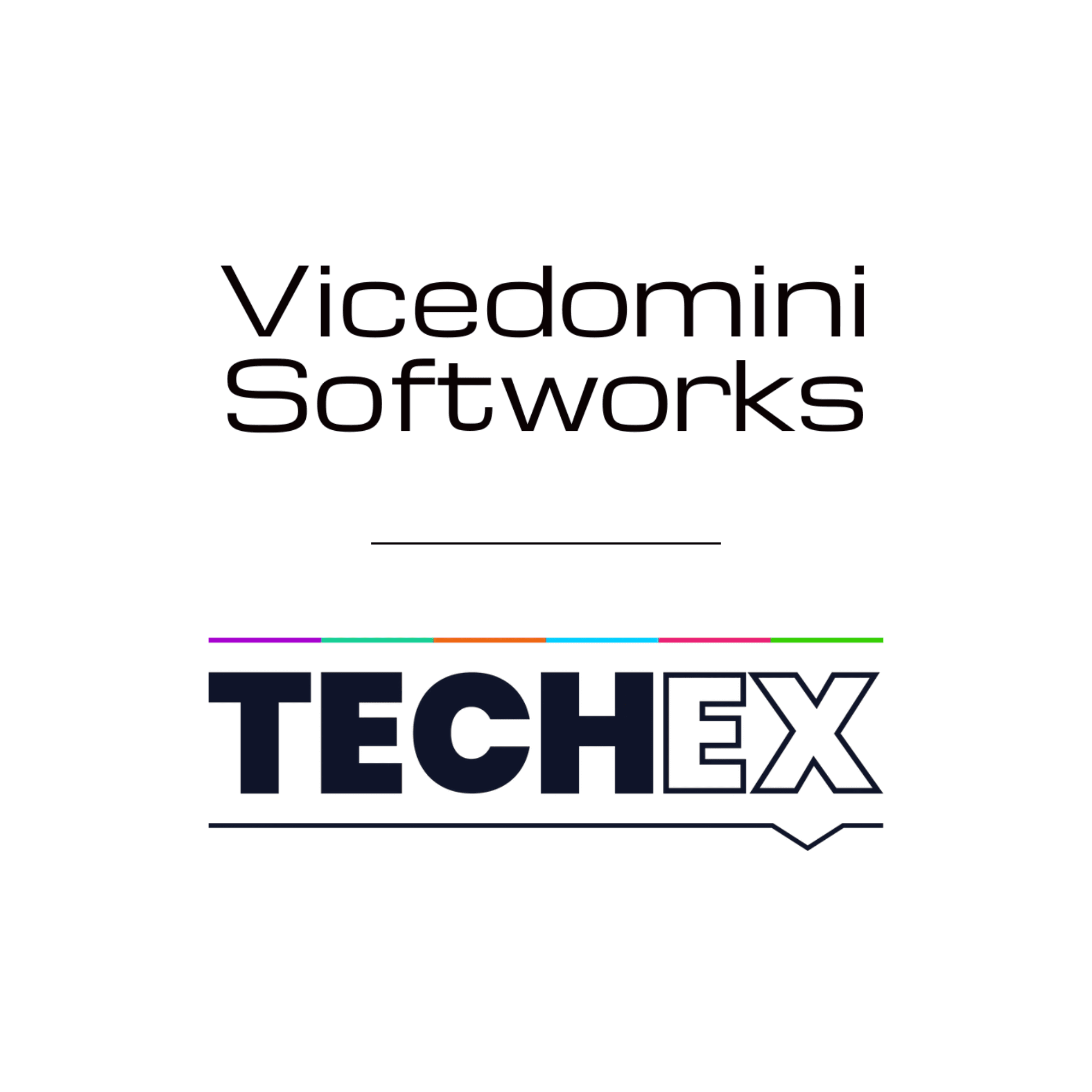 Vicedomini Softworks x TechEX
