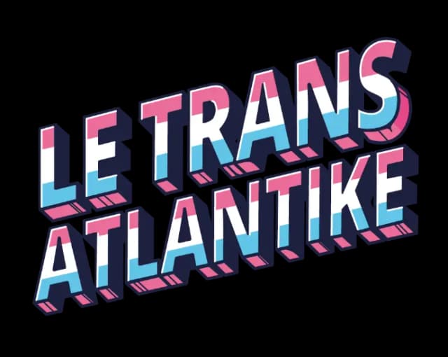 vicedomini softworks website image